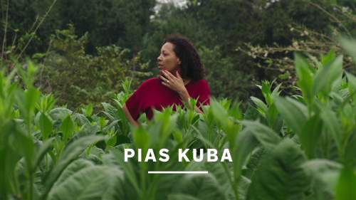 Pias Kuba