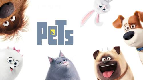 Pets