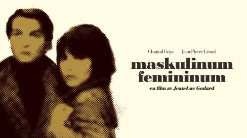 Maskulinum - femininum