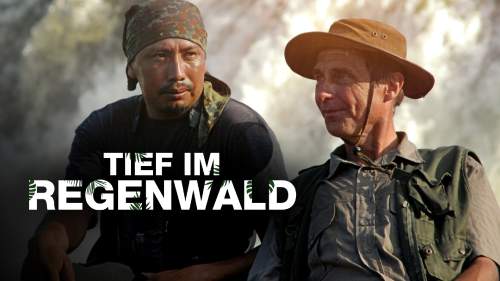 Tief im Regenwald