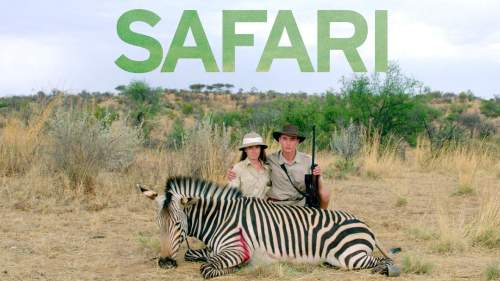 Safari