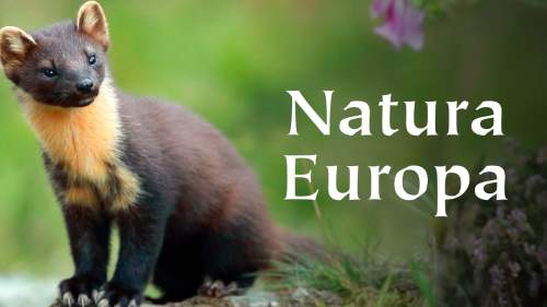 Natura Europa