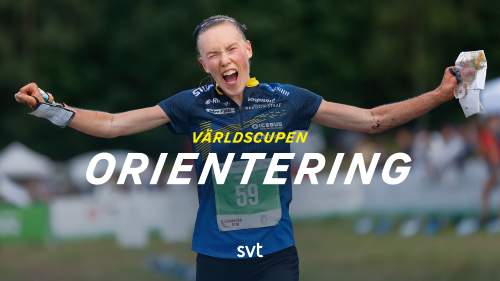 Orientering: Världscupen