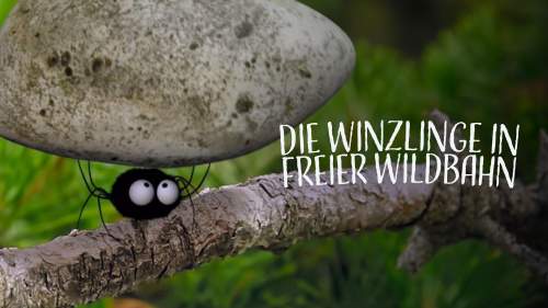 Die Winzlinge in freier Wildbahn