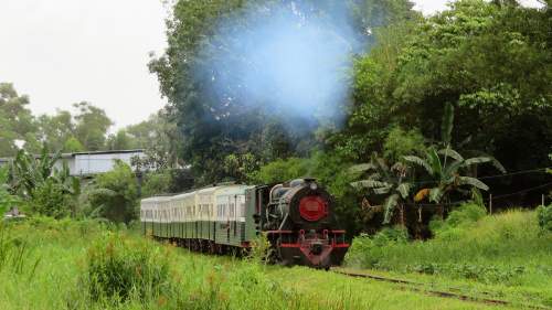 Mit dem Zug durch Sabah auf Borneo