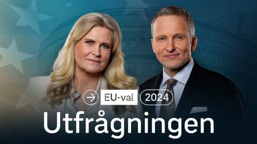 EU-val 2024: Utfrågningen på lätt svenska