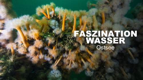 Wasser - Geheimnisvolle Ostsee