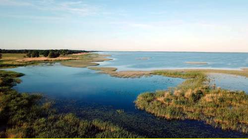 Das Oder-Delta - Grenzenlose Wildnis an der Ostsee