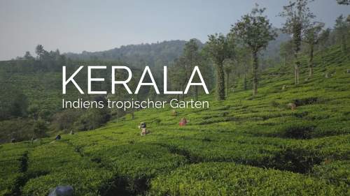 Kerala - Indiens tropischer Garten