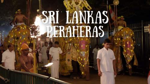 Sri Lankas Peraheras - Sakrale Elefantenprozessionen