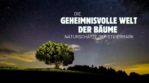 Die geheimnisvolle Welt der Bäume - Naturschätze der Steiermark