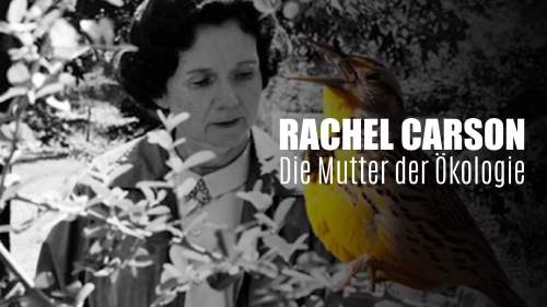 Rachel Carson - Die Mutter der Ökologie