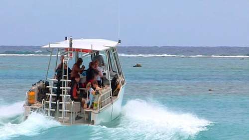 Moorea, l'île aux requins citrons