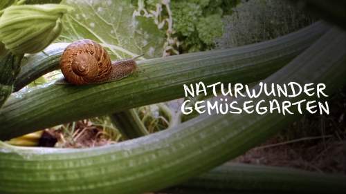 Naturwunder Gemüsegarten: Die große Welt der kleinen Tiere
