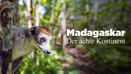 Madagaskar - Der achte Kontinent