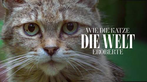 Wie die Katze die Welt eroberte