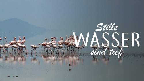 Stille Wasser sind tief