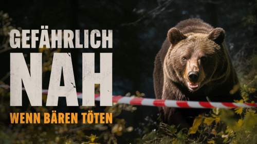 Gefährlich nah - Wenn Bären töten