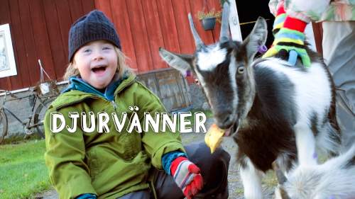 Djurvänner