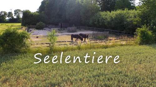 Seelentiere