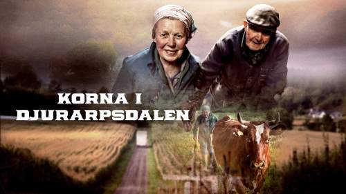 Korna i Djurarpsdalen