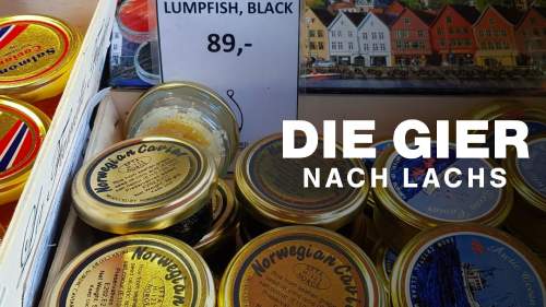 Die Gier nach Lachs