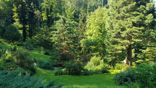 Mein kleines Paradies - Gärten in Vorarlberg