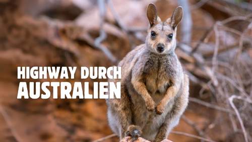 Highway durch Australien