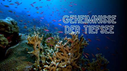 Geheimnisse der Tiefsee