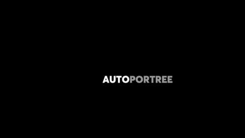 Autoportree