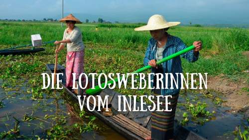 Die Lotosweberinnen vom Inlesee