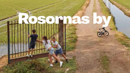 Rosornas by