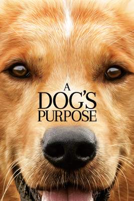 A Dog’s Purpose