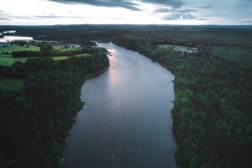 Arktiset vedet