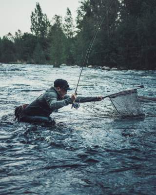 Arktiset Vedet