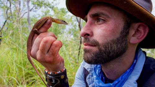 Coyote Peterson: Brave the Wild