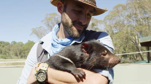 Coyote Peterson: Brave the Wild