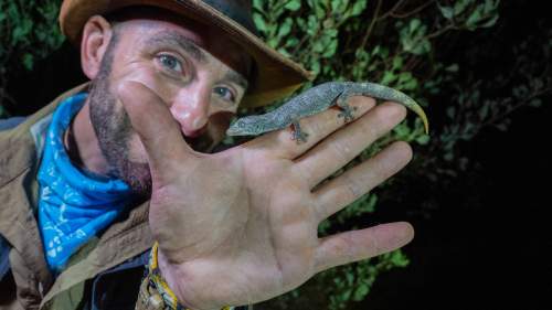 Coyote Peterson: Brave the Wild