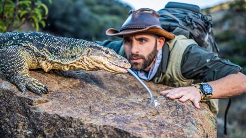 Coyote Peterson: Brave the Wild