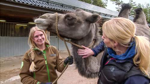 Elämäni eläimet: Eläinsairaalassa