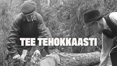 Elävä arkisto: Tee tehokkaasti