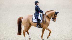 Helsinki International Horse Show