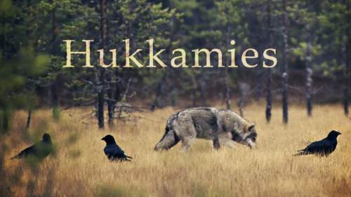 Hukkamies