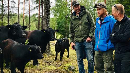 Itämeren suojelijat Peltsi ja Tom