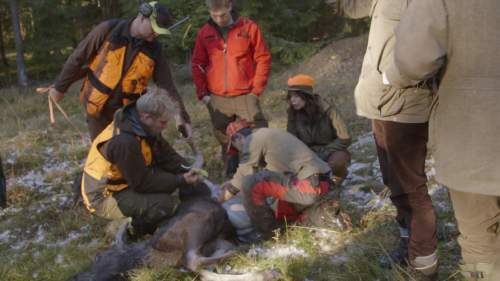 Jahtikumppanukset Lotta ja Leif