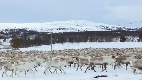 Kahdeksan vuodenaikaa