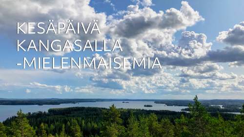 Kesäpäivä Kangasalla -mielenmaisemia 4. Oksalla Ylimmällä syntymäpäivät