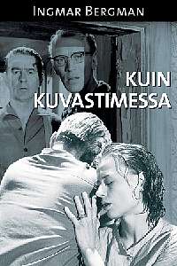 Kuin kuvastimessa