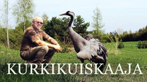 Kurkikuiskaaja