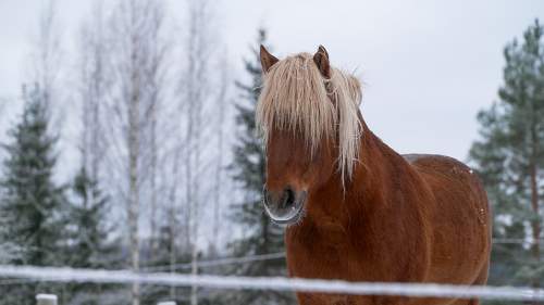 Latelan Laurin hurja remontti